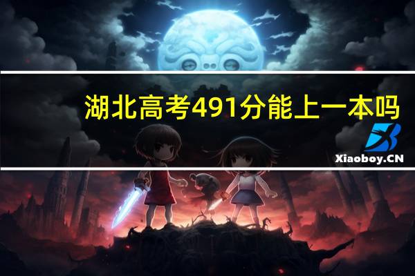 湖北高考491分能上一本吗