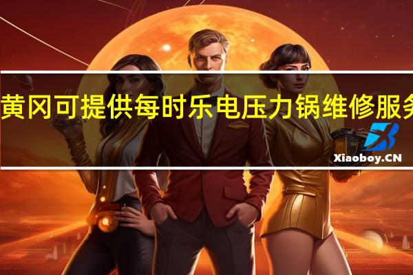 湖北黄冈可提供每时乐电压力锅维修服务地址在哪