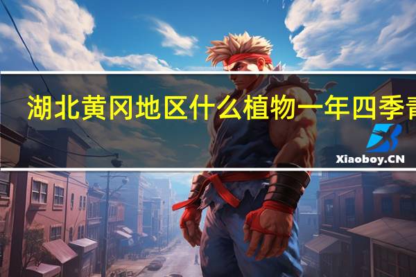 湖北黄冈地区什么植物一年四季青啊，主要种在屋顶上，既要绿化又隔热