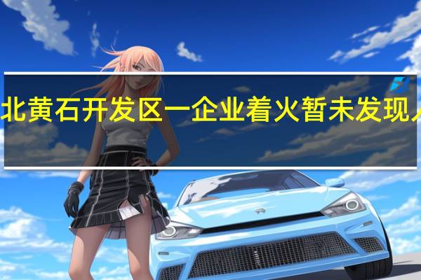 湖北黄石开发区一企业着火暂未发现人员伤亡