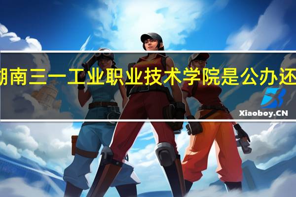 湖南三一工业职业技术学院是公办还是民办