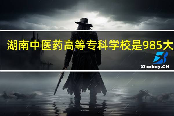 湖南中医药高等专科学校是985大学吗