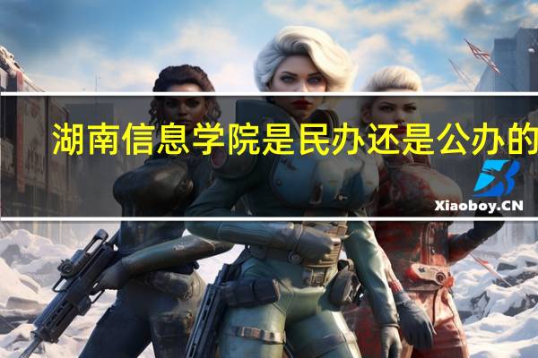 湖南信息学院是民办还是公办的啊