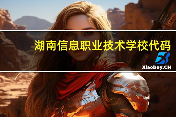 湖南信息职业技术学校代码