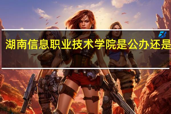 湖南信息职业技术学院是公办还是民办