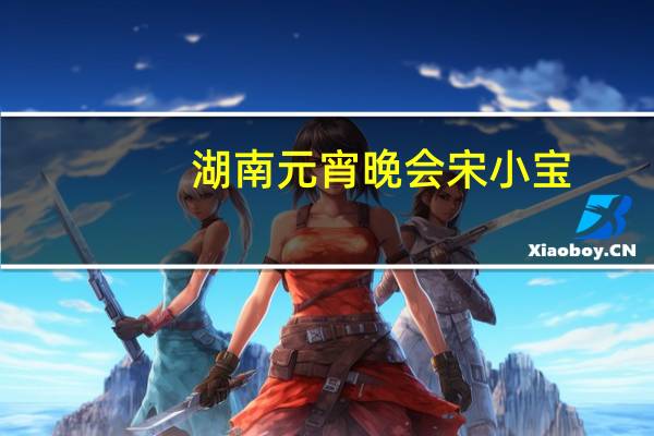 湖南元宵晚会宋小宝（湖南卫视元宵宋小宝）