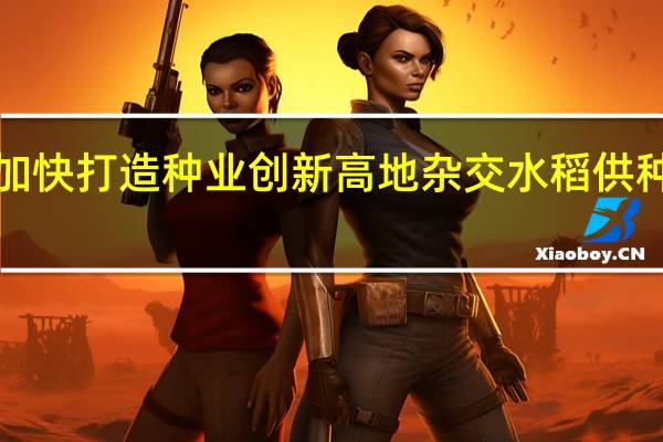 湖南加快打造种业创新高地 杂交水稻供种量占全国1/3以上