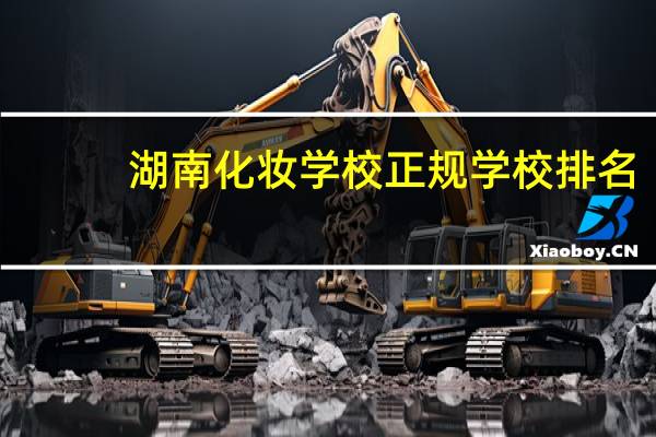 湖南化妆学校正规学校排名