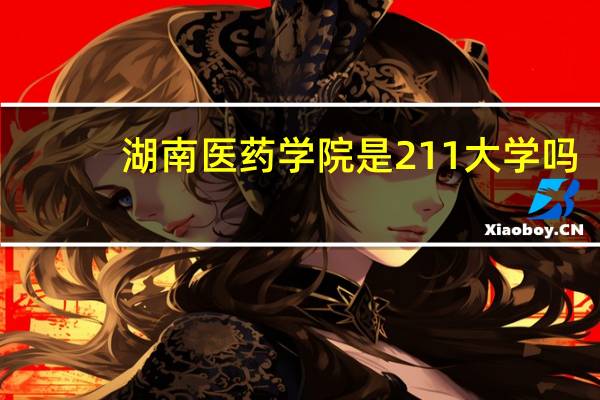 湖南医药学院是211大学吗