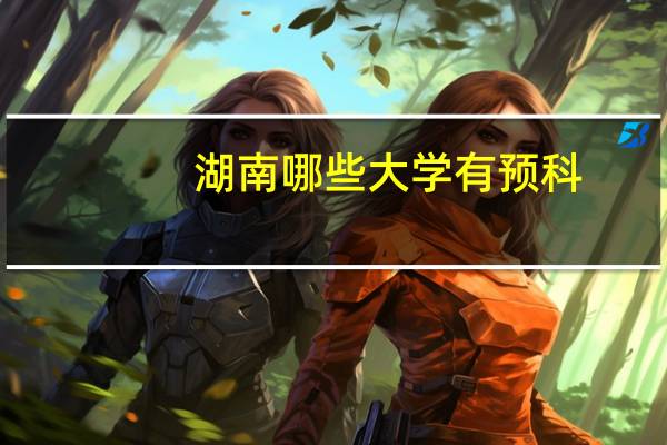 湖南哪些大学有预科