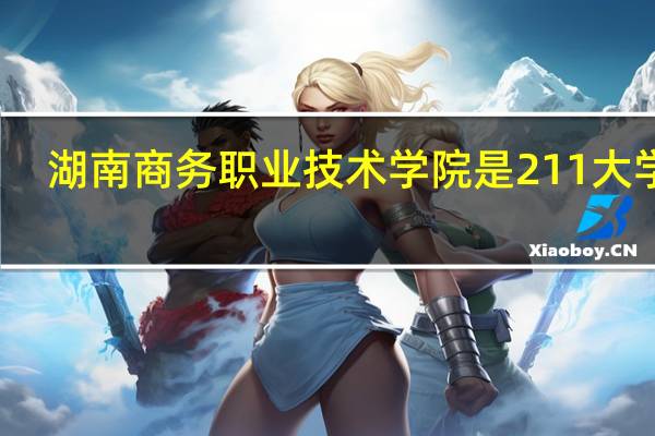 湖南商务职业技术学院是211大学吗