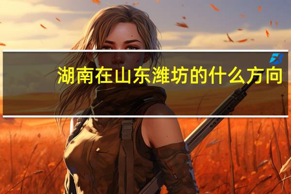 湖南在山东潍坊的什么方向
