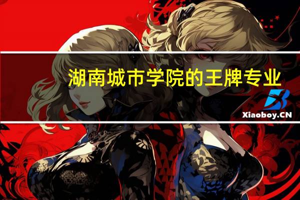 湖南城市学院的王牌专业