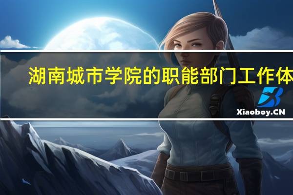 湖南城市学院的职能部门工作体验