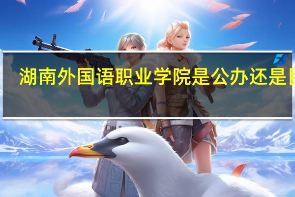 湖南外国语职业学院是公办还是民办