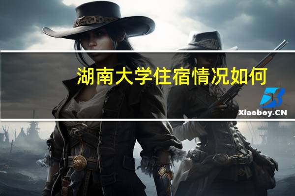 湖南大学住宿情况如何