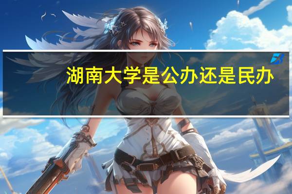 湖南大学是公办还是民办