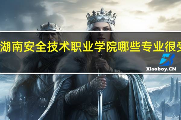 湖南安全技术职业学院哪些专业很受欢迎