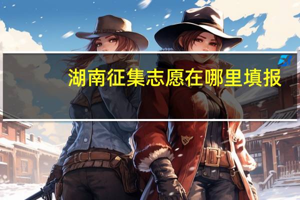 湖南征集志愿在哪里填报