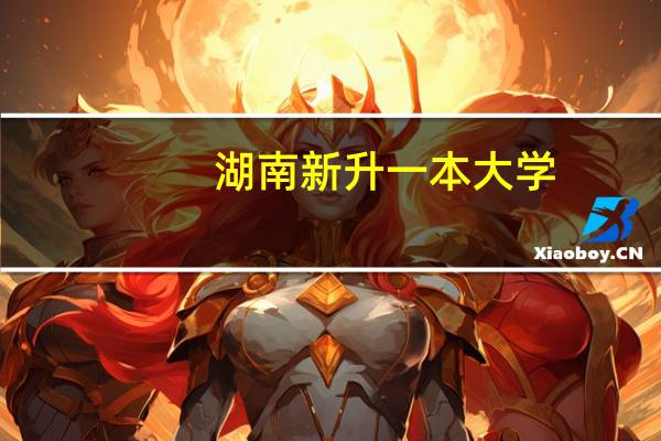 湖南新升一本大学