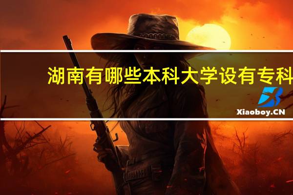 湖南有哪些本科大学设有专科
