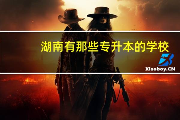 湖南有那些专升本的学校