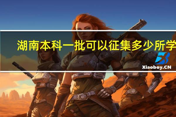 湖南本科一批可以征集多少所学校