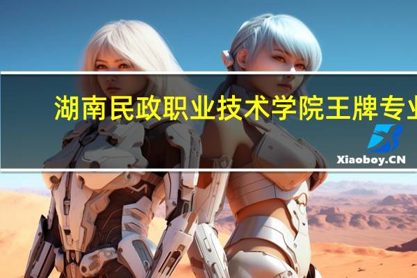 湖南民政职业技术学院王牌专业