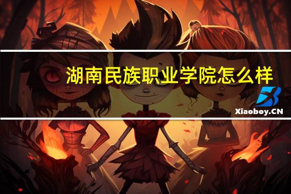 湖南民族职业学院怎么样