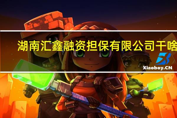 湖南汇鑫融资担保有限公司干啥的