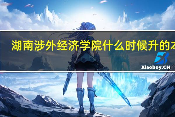 湖南涉外经济学院什么时候升的本科