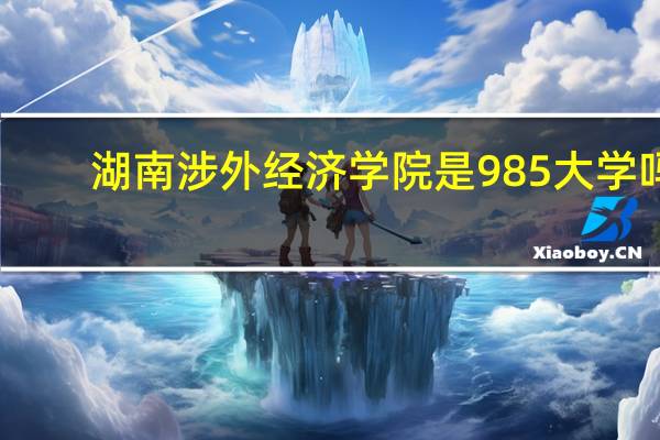 湖南涉外经济学院是985大学吗