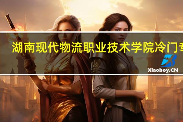 湖南现代物流职业技术学院冷门专业