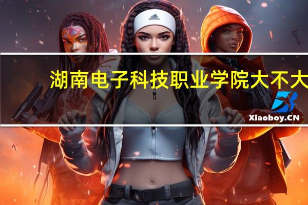 湖南电子科技职业学院大不大,面积有多大