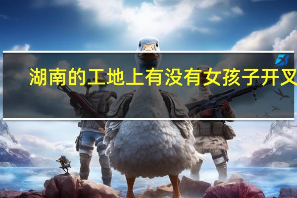 湖南的工地上有没有女孩子开叉车