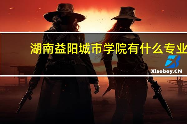 湖南益阳城市学院有什么专业