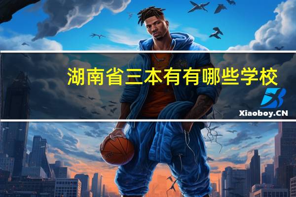 湖南省三本有有哪些学校