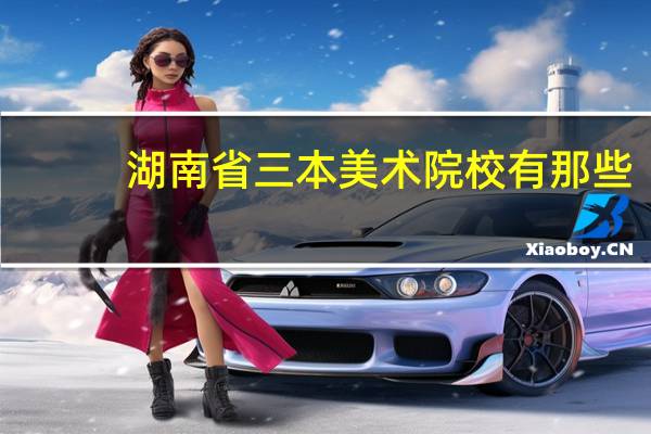 湖南省三本美术院校有那些