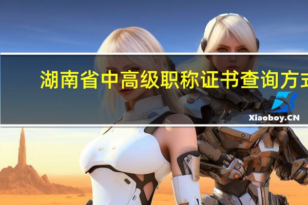 湖南省中高级职称证书查询方式