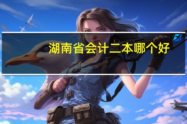 湖南省会计二本哪个好