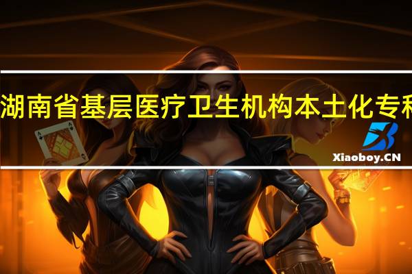 湖南省基层医疗卫生机构本土化专科层次
