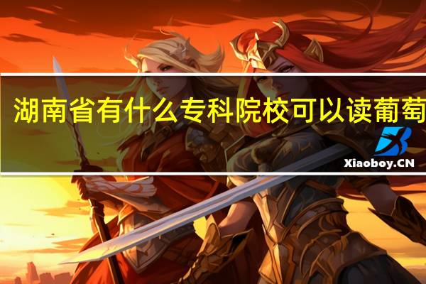 湖南省有什么专科院校可以读葡萄牙语