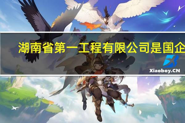 湖南省第一工程有限公司是国企吗