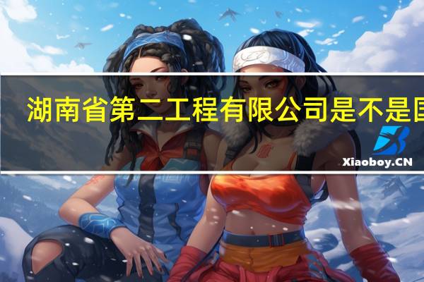 湖南省第二工程有限公司是不是国企