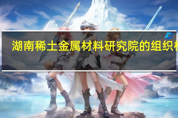 湖南稀土金属材料研究院的组织机构