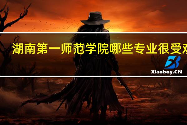 湖南第一师范学院哪些专业很受欢迎