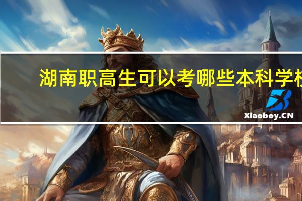 湖南职高生可以考哪些本科学校