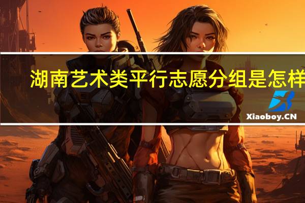 湖南艺术类平行志愿分组是怎样的