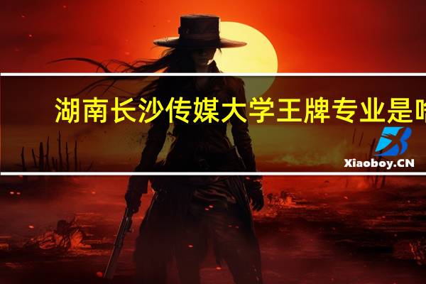 湖南长沙传媒大学王牌专业是啥