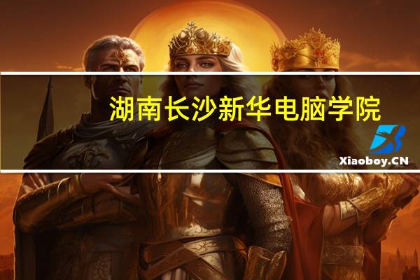 湖南长沙新华电脑学院(长沙新华电脑学院)